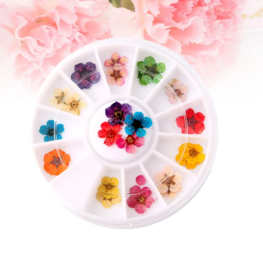 

1 Box Dried Flowers Nail Art Supplies Colorful Plum Blossom Stickers Natural Nail Decoration Tools for Uv Gel Acrylic
