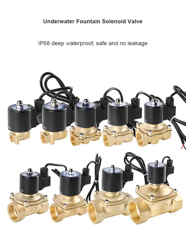 2" Messing Unterwasser Magnetventil Brunnen Magnetventil Wasserventil 220V 12V 24V – Detail 1