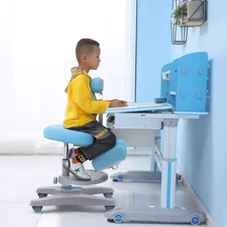 Chaise de Bureau Ergonomique à Fixation Réglable pour Enfant, Siège de Bureau en Métal Anti-bosse avec 4 Vitesses Réglables