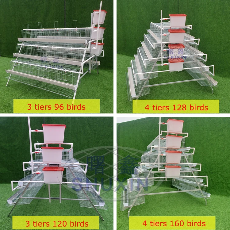 500 Chicken Breeding Automatic Laying Hen / Egg Layer Battery A Type Chicken Cage for Poultry Farming