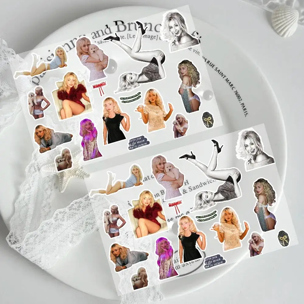 ملصقات نجار المغني الموسيقي سابرينا لجرافيتي سكيت الكمبيوتر المحمول زجاجة ماء لعبة دراجة نارية للأطفال ملحقات الديكور #1