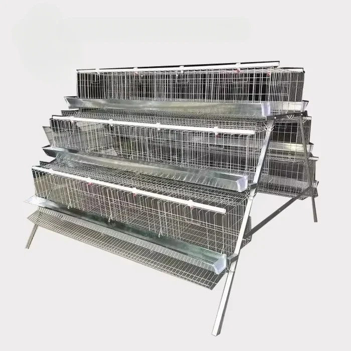 A Type Laying Hen Cage High Productivity Three Tiers and Four Layers for Up To 160 Chickens Cold Galvanized Chicken Cage