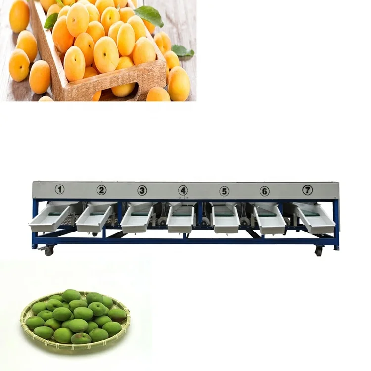 سعر المصنع التلقائي الفاكهة الخضار فرز التفاح البطاطس الطماطم البرتقال الأفوكادو البصل الصف غسالة حجم وزنها