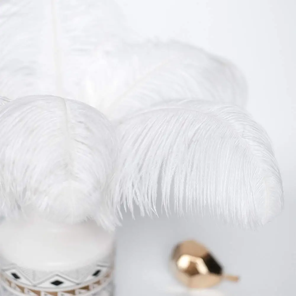 10Pcs 60–65cm Large Ostrich Feathers for Wedding Party Decoration Table Centerpieces Vase Plume Accessories DIY Decor