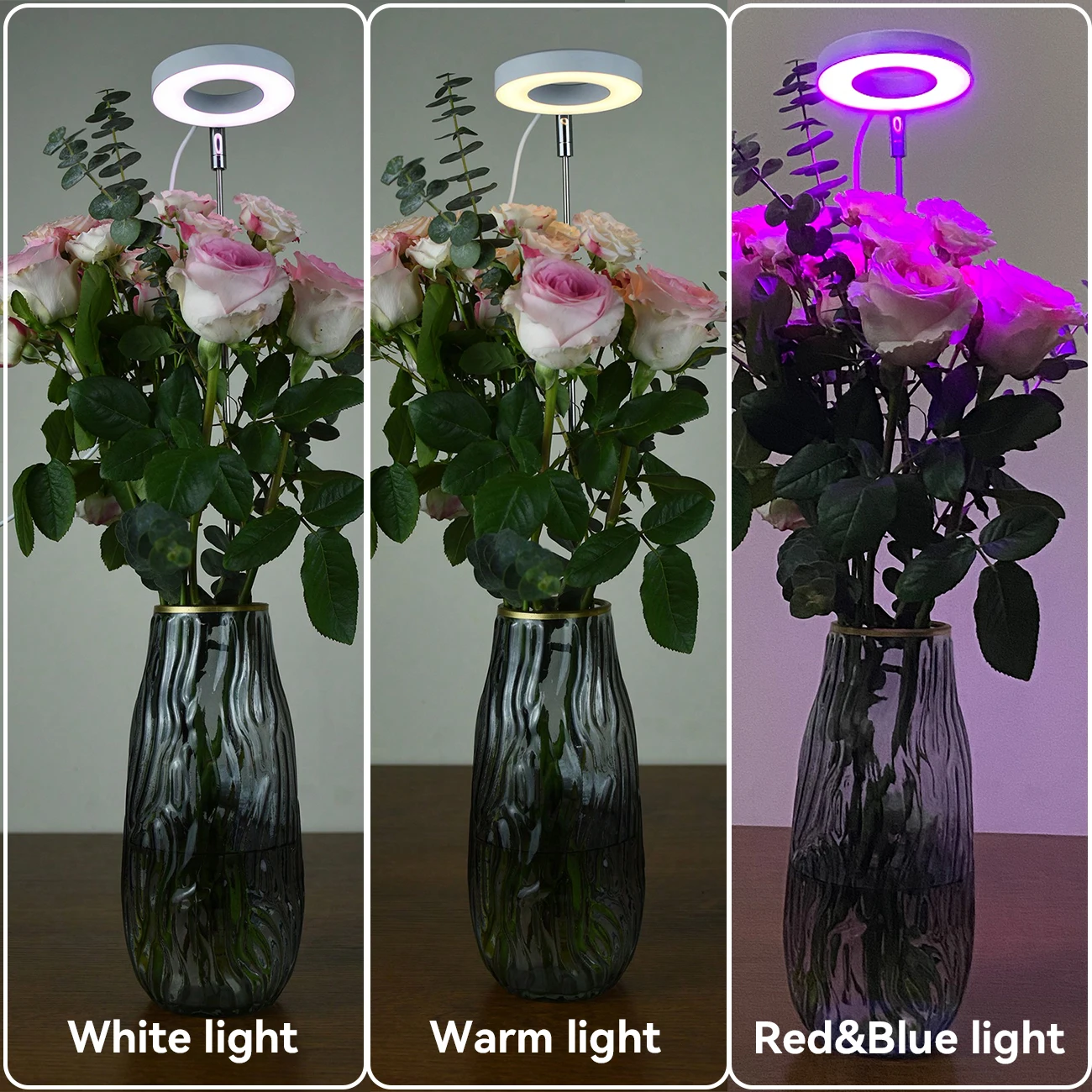USB عكس الضوء 3 طرق الطيف الكامل تنمو ضوء للنباتات الداخلية الموقت ارتفاع قابل للتعديل الأبيض الدافئ الأحمر والأزرق هالة النبات تنمو مصباح #3