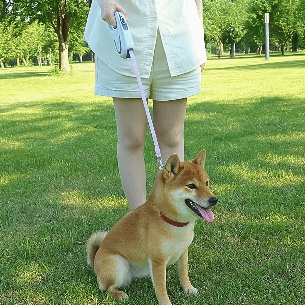 

3m Extendable Automatic Dog Leash Adjustable Telescopic LED Luminous Leash Plastic Safety Lock Dog Running Lead Outdoor Walking