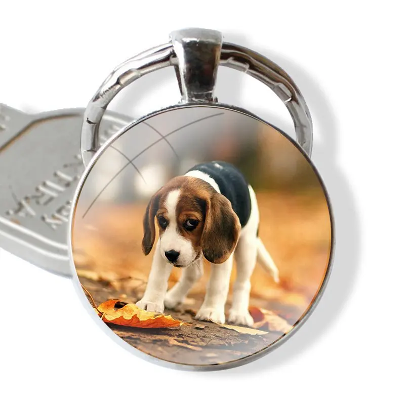 25mm Glass Cabohcon Keychain Key Rings for Women Men Jewelry Gift Beagle Dog