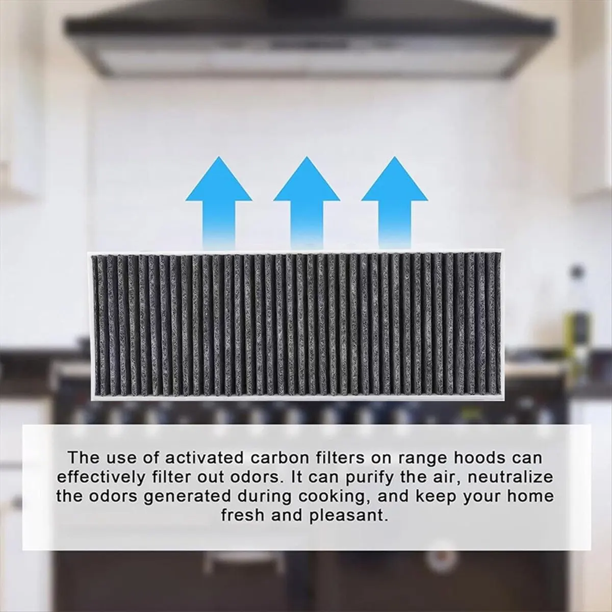 2PCS Activated Carbon Filter for Basic BAKFS/BIU/BHU/BFIU Cooker Hood Range Hood Grease Filter