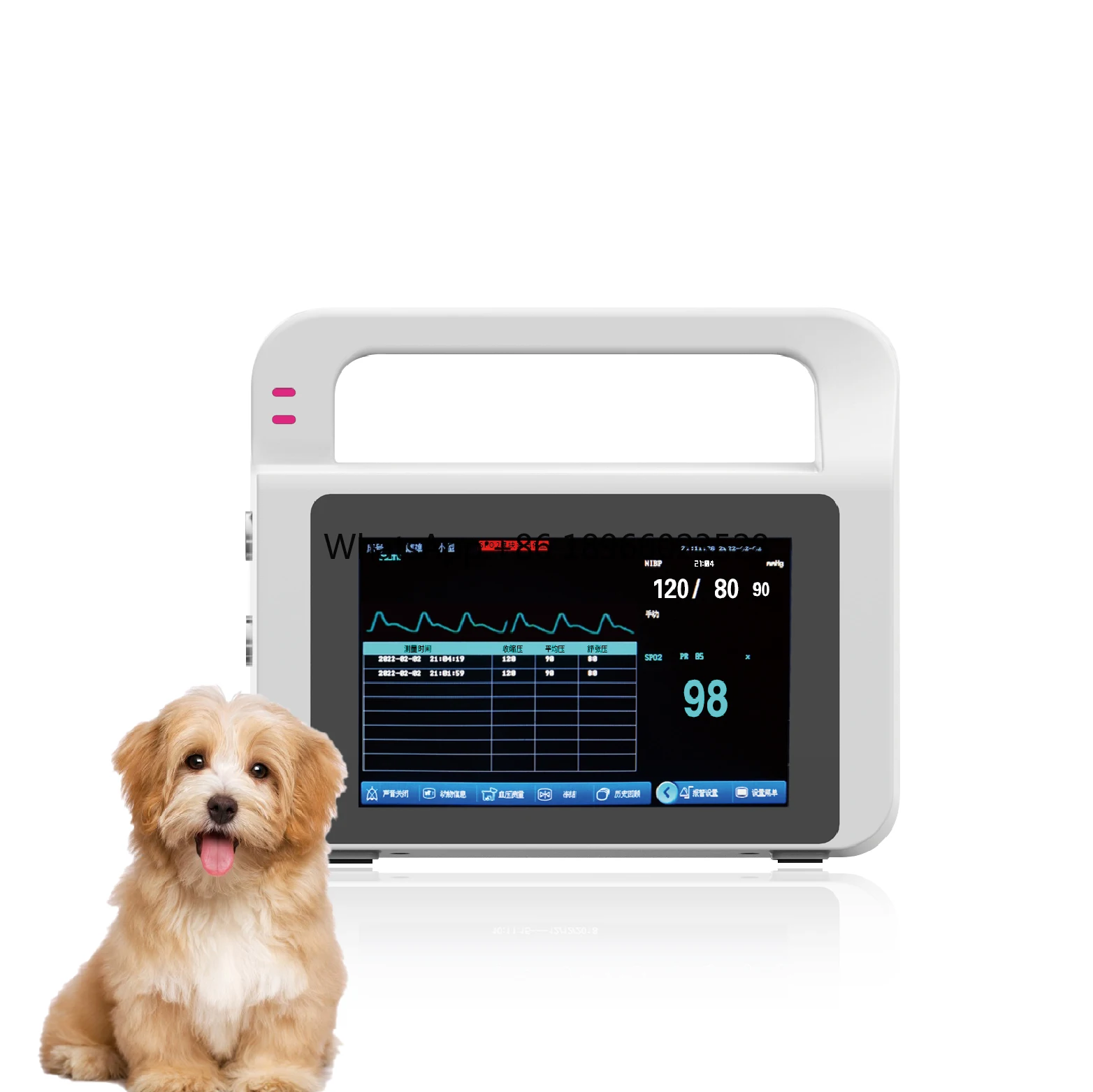 Medical Equipment Pet Icu Medical Multi Parameter Medical Vital Signs Monitor