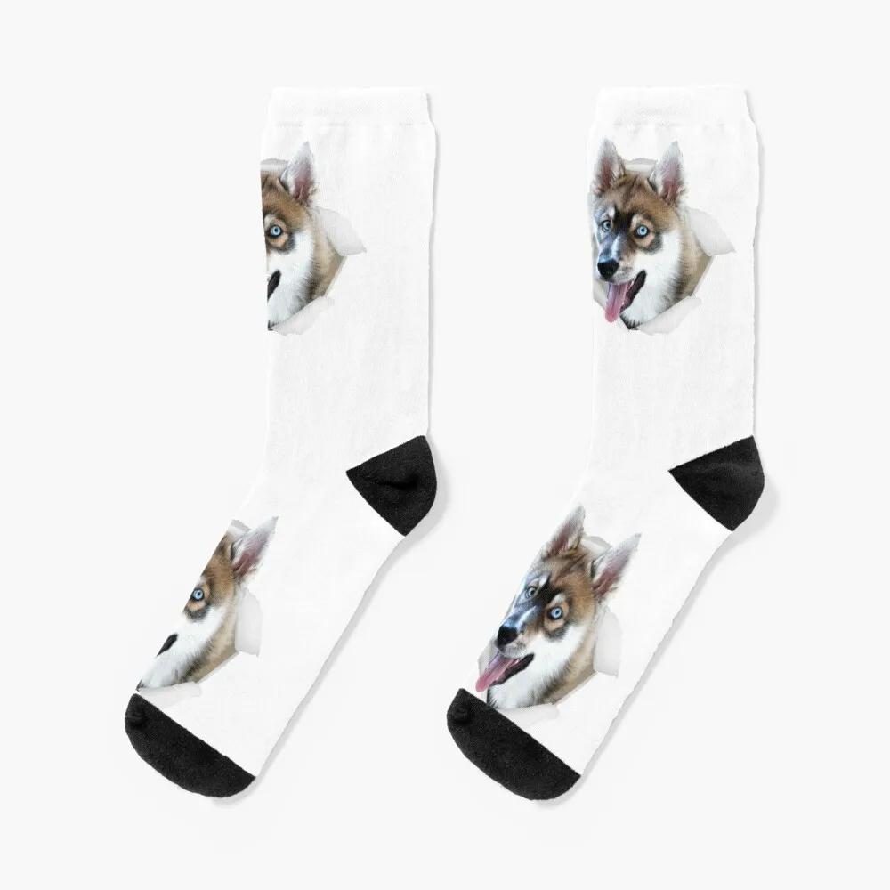 Husky Socks Crossfit New year's essential Stockings compression Socks For Men Women's