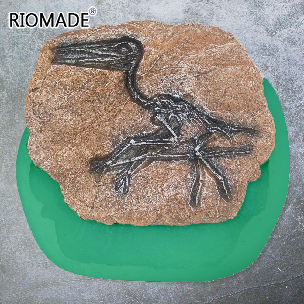 Pterosaur Fossils Style Silicone Mold Handpainted Gypsum Ceramic Baking Mould DIY Craft Making Home Decoration Tools