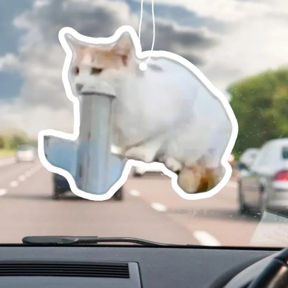 Erbrechender Katzen-Auto-Duftaufhänger – Carsick Meme, hängende Spiegelentlüftung, anhaltender Duft