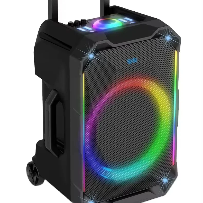 Hot 2024 Wholesale plus 300W Party portable outdoor sound system Sound karaoke speakers with microphones