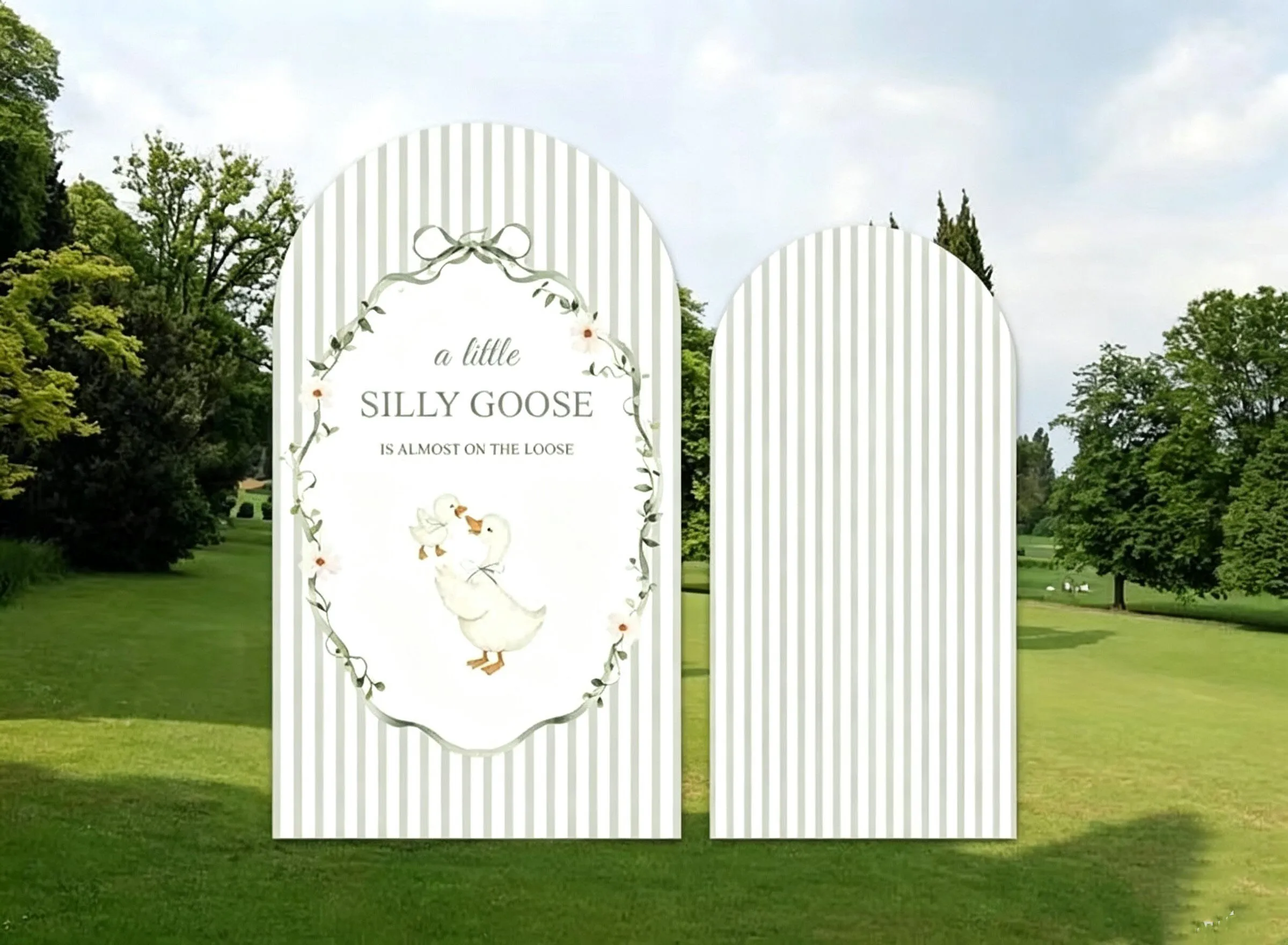 Custom 2-Side Silly Goose Almose Loose Baby Shower Arch Backdrop Cover Green Stripe Duck Birthday Party Decor Backdrop Photo