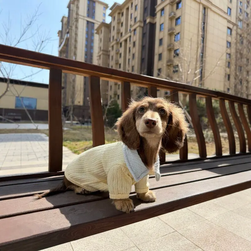 Suéter cálido de punto para perros Dachshund otoño e invierno