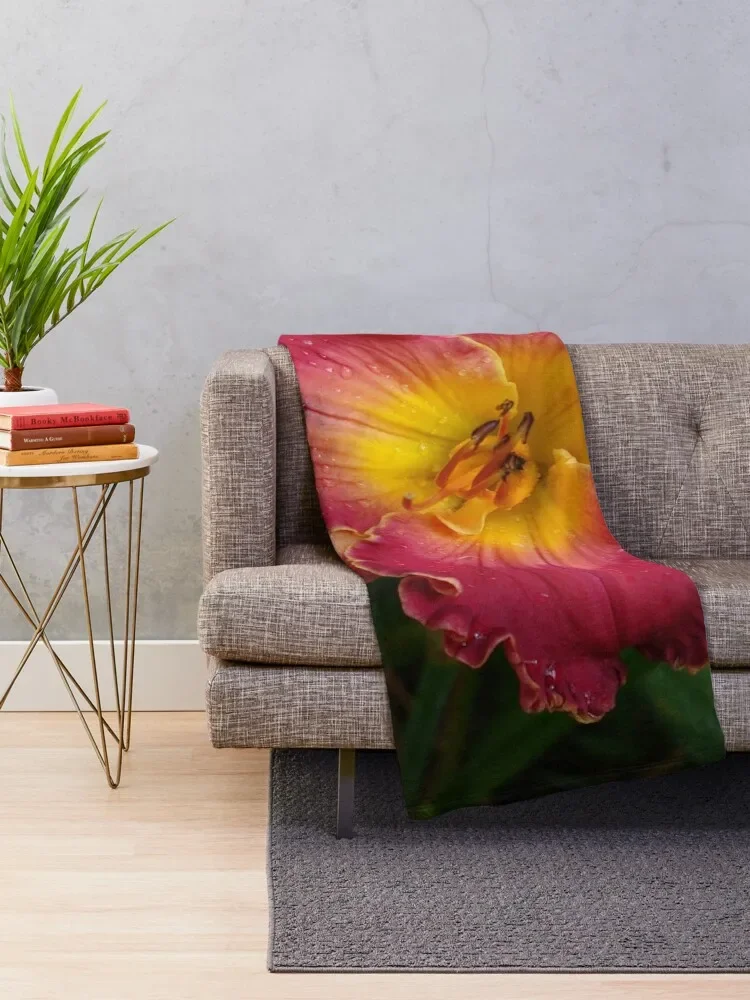 Sis Boom Bah daylily!A vibrant world of rose and gold Throw Blanket Bed Bed Fashionable Soft Big Blankets For Sofas Blankets