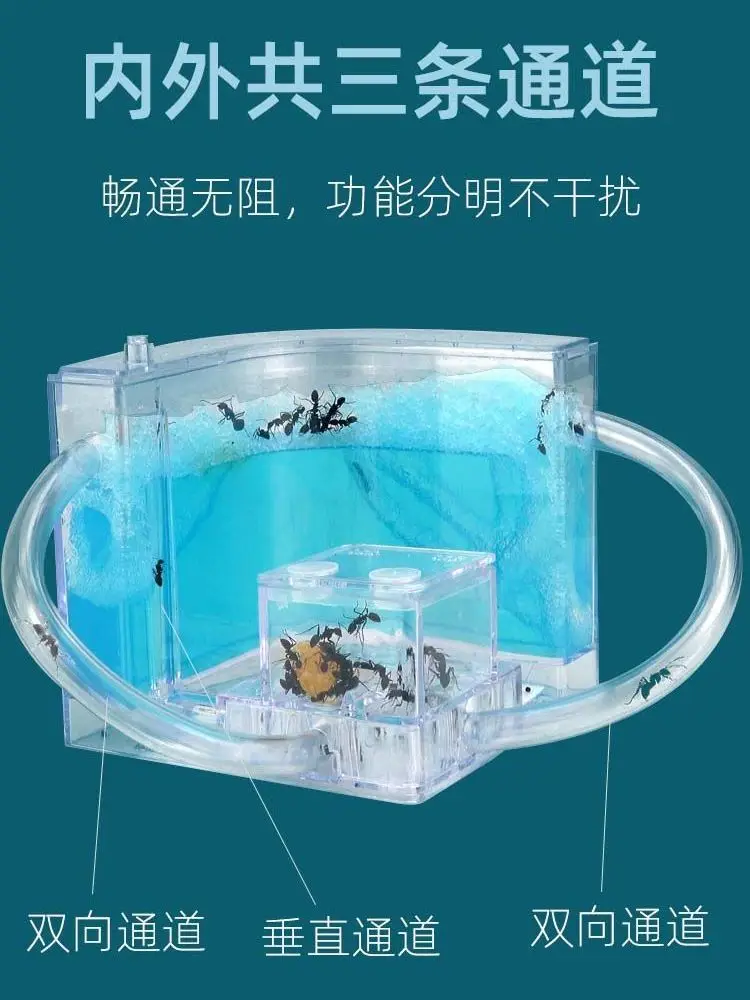 Ant Workshop Villa … - image