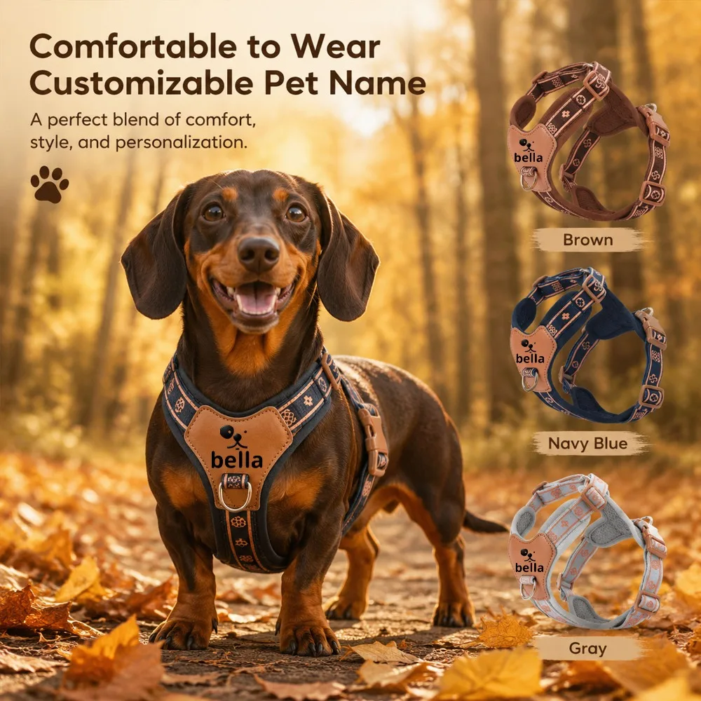 Custom Dog Chest Harness Personalized Nameplate Breathable Mesh Anti-Escape, Adjustable Outing Walking Training Outdoor Travel