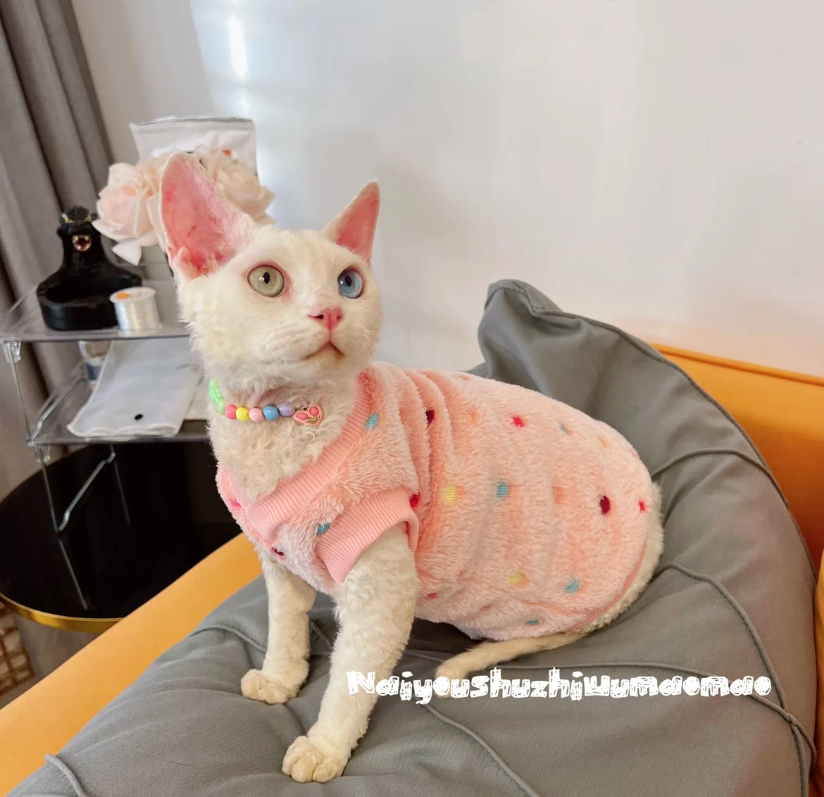 Pink Cat Clothing Soft Sweater for Sphnx Cat Warm Plush Loungewear for Kittens Cute Long Sleeves Coat Hat Suit for Devon Rex