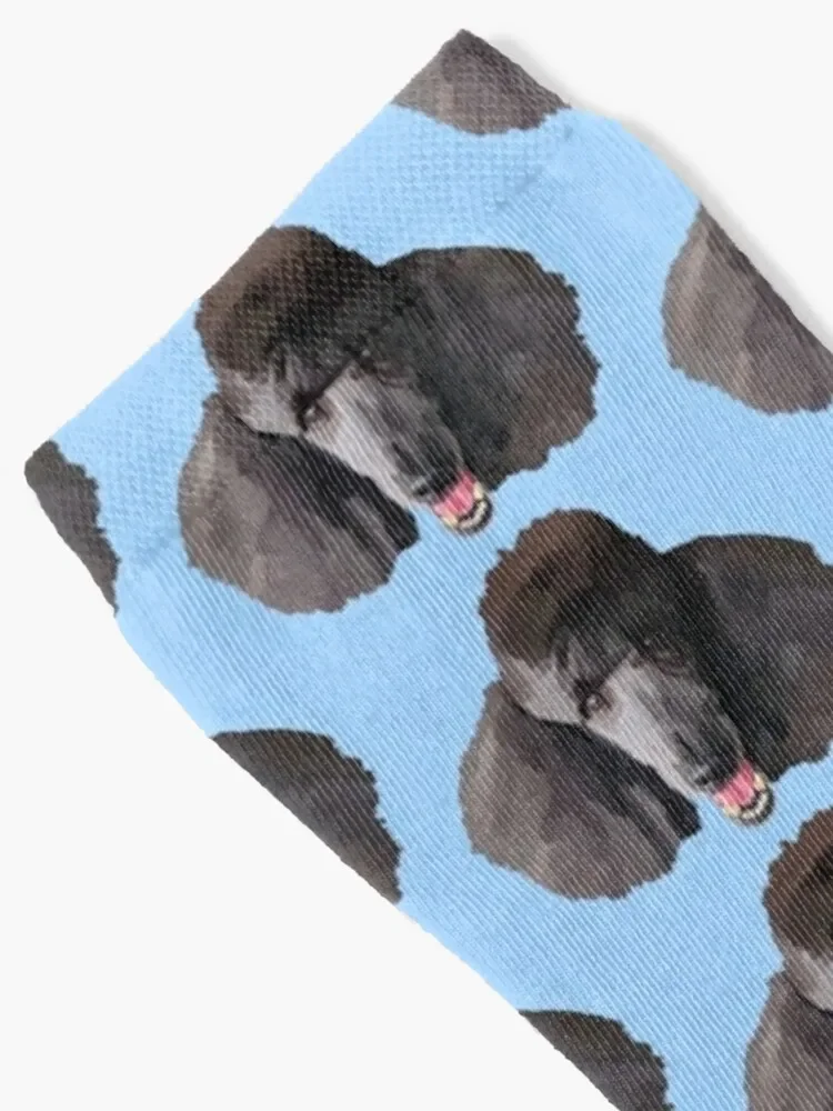 Black Standard Poodle Socks Non-slip sheer Socks Women Men's