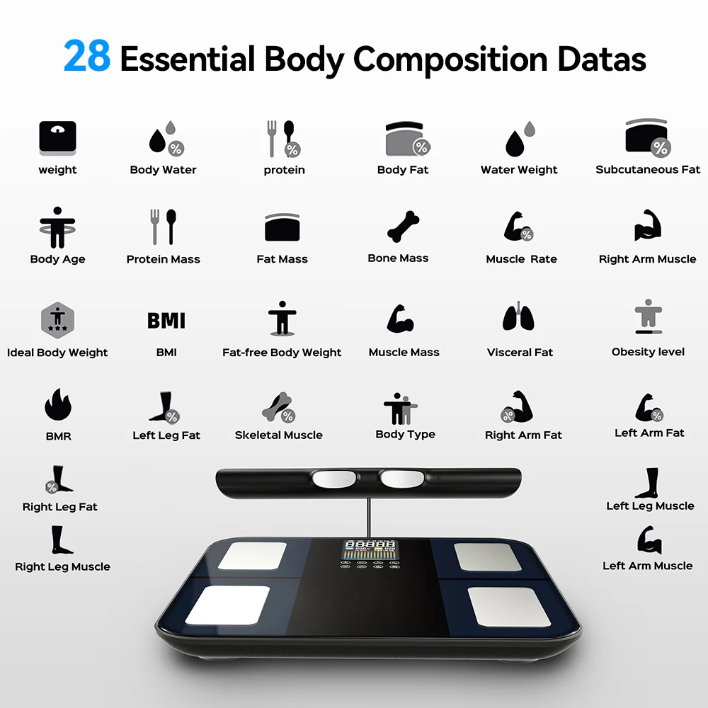 Thumbnail 4 - #31 Best Smart Scales to Buy In 2026