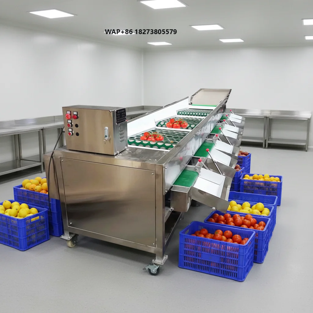 Automatic Tomato Lemon Fruit Vegetable Sorter Olive Peach Sorting Machine Potato Grading Machine