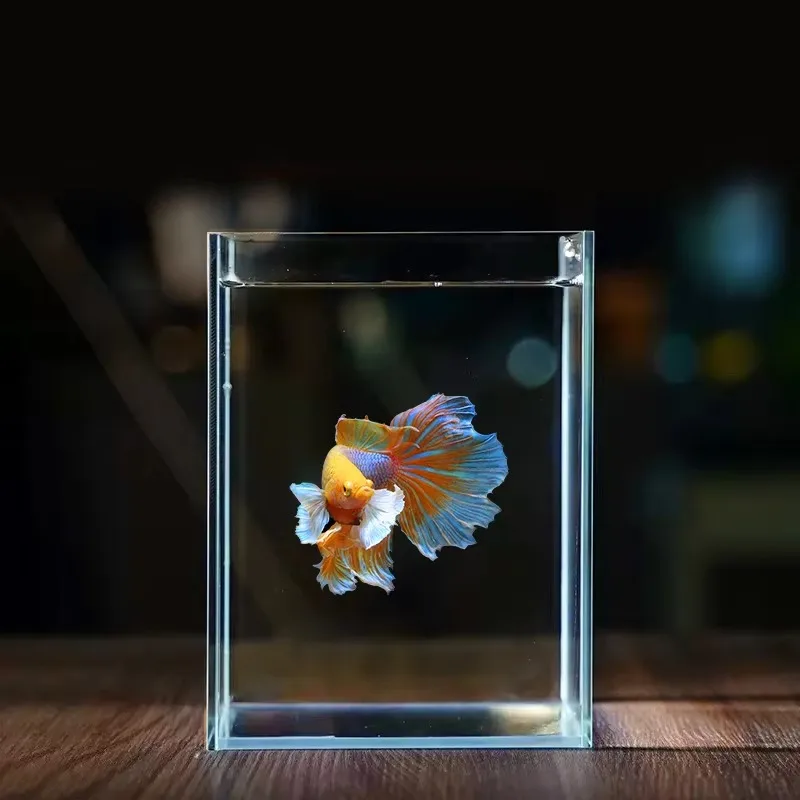 

Оптовая продажа, стеклянный аквариум, низкий железный ультра прозрачный стеклянный аквариум, небольшой размер, мини-настольный аквариум Betta