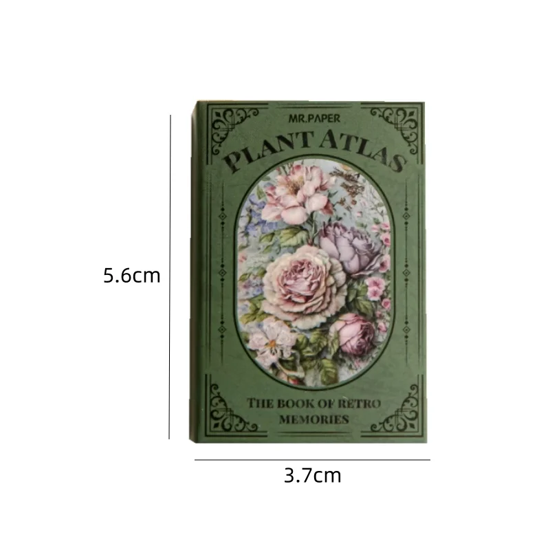 Mr Paper 600pcs 영어 식물 나비 표본 유럽 미국 스타일 재료 종이 핸드북 장식 바닥 카드 스톡