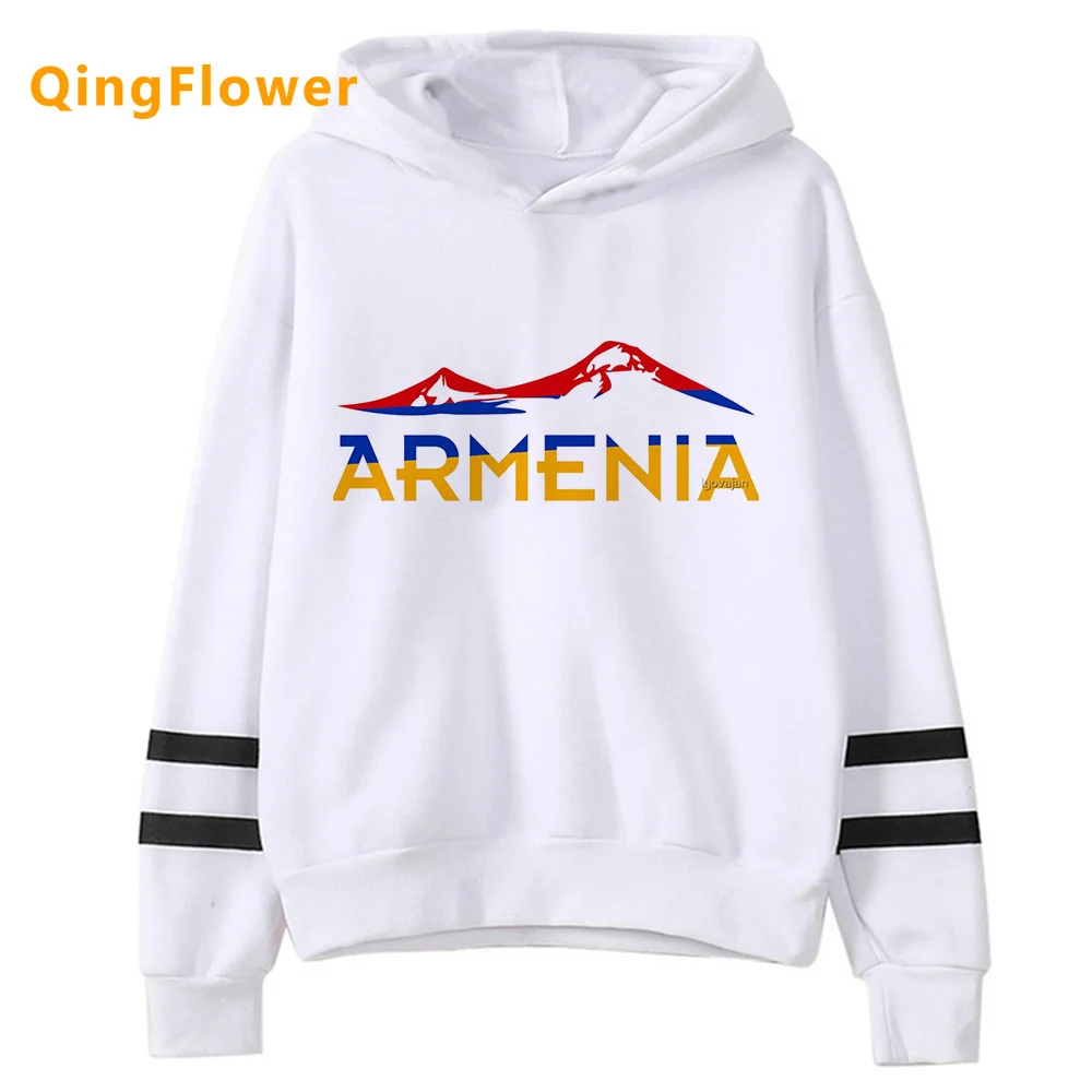 Armênia hoodies feminino vintage inverno y2k estética kawaii puxa feminino streetwear camisa com capuz