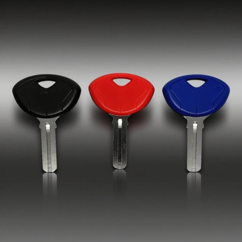 

Motorcycle Key For BMW F650G F800G S1000RR R1200 R/RT/GS K1200 S/R/GK K1300 1600GT K1600GTL Detachable chip car key