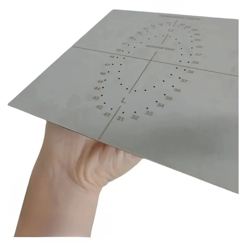 1pcs Lab Stainless Steel Rubber Barrier Positioning Template Rubber Camphor Punching Tool s