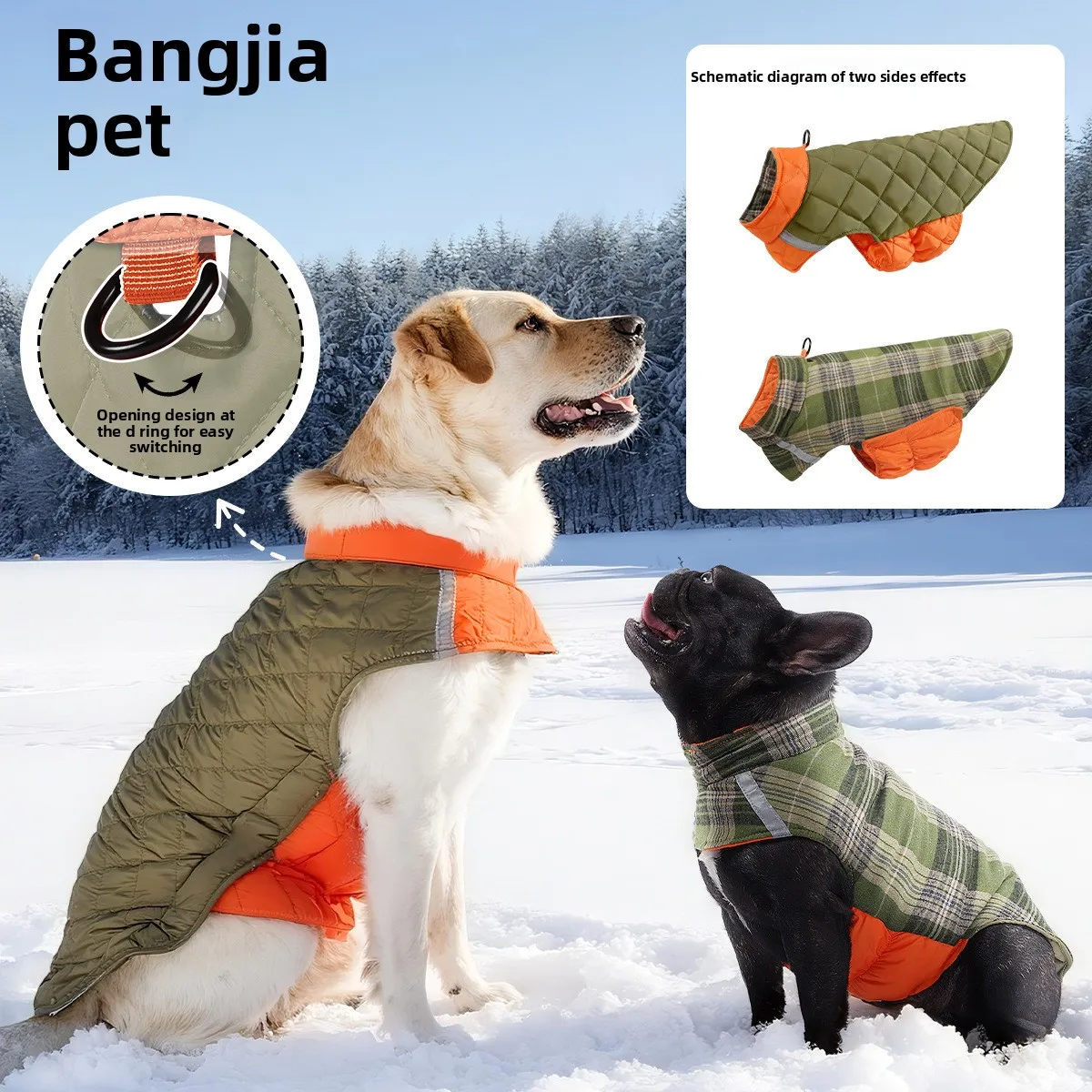 #9 Dog Apparel Comparison Guide