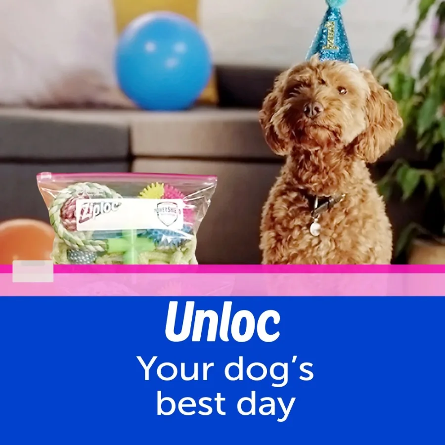 (2 шт.) Сумки для хранения слайдерами с технологией Power Shield, галлон, 60 шт.