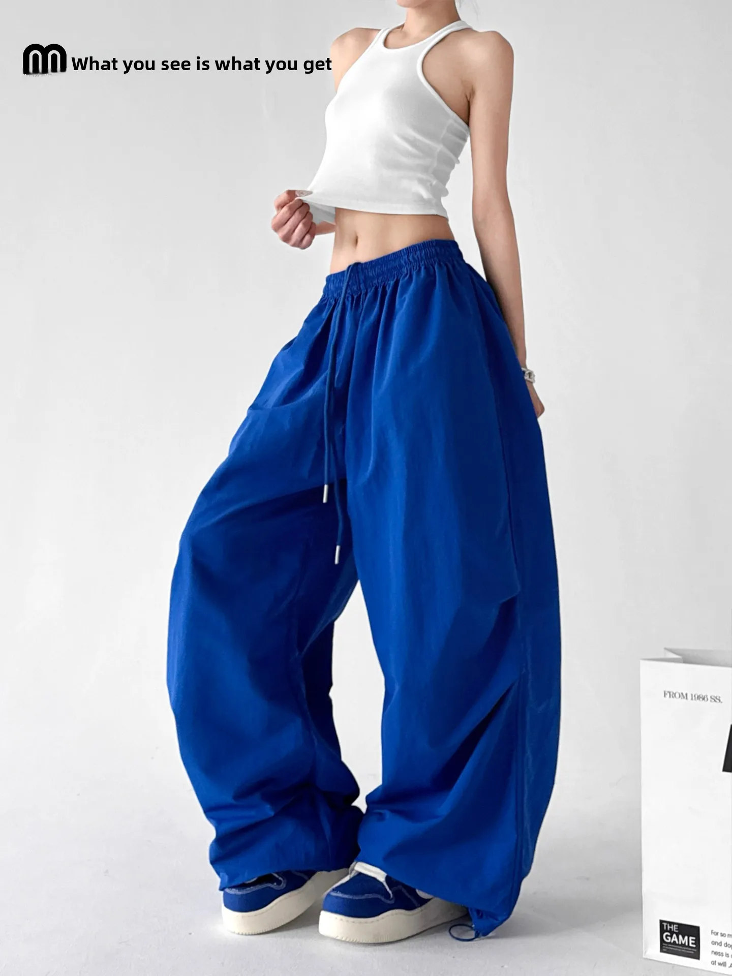 

Blue Dance Wide Leg Pants Women's Spring Autumn New Loose Casual Sports Thin Hanging Sensation Trousers Nylon High Waist