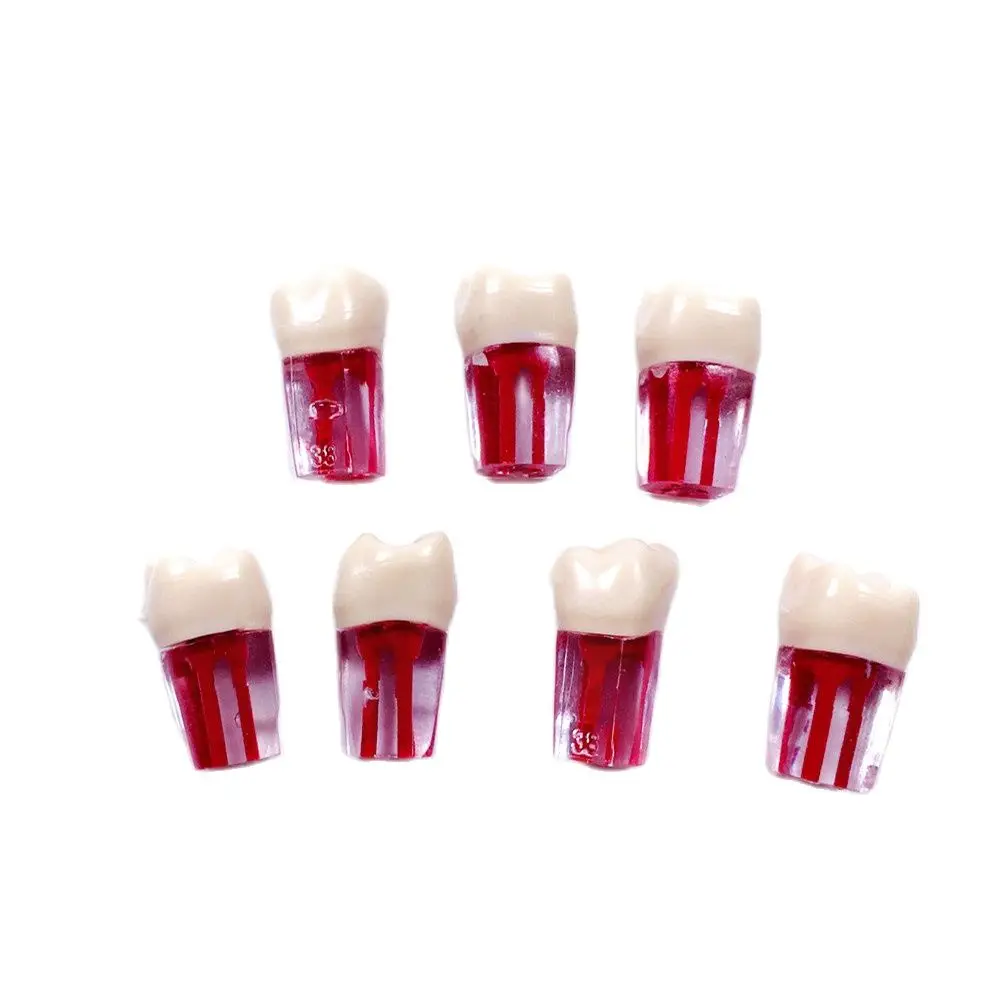 

1 ~ 100 шт. стоматологические корневые файлы, канальные зубы, красная целлюлоза, Модель полости для практики 16 #