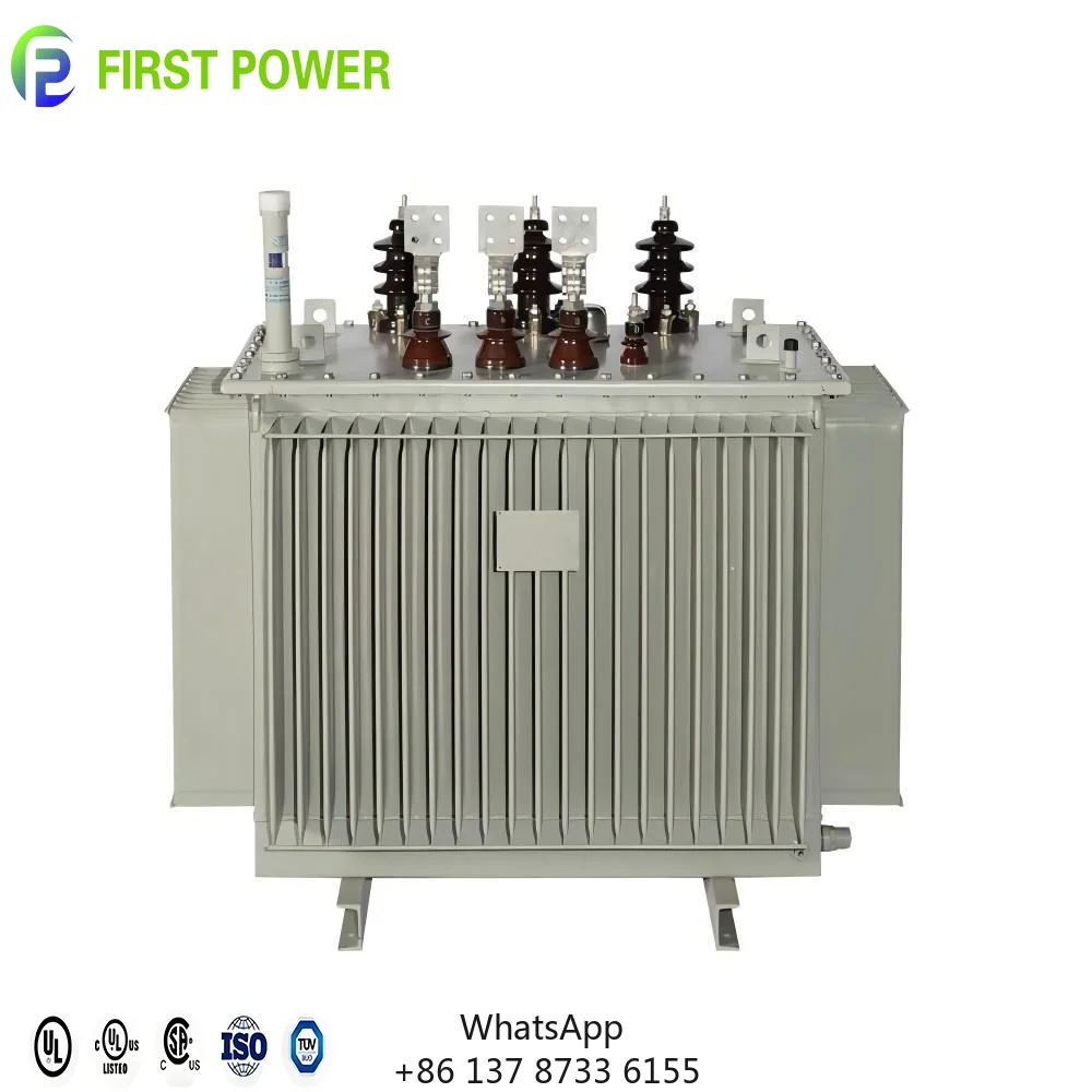 

IEEE Standard MH&HV 50/60HZ 6KV 10KV 20KV 35KV 250KVA 315KVA Oil Immersed Power Transformer For Electric Power Distribution