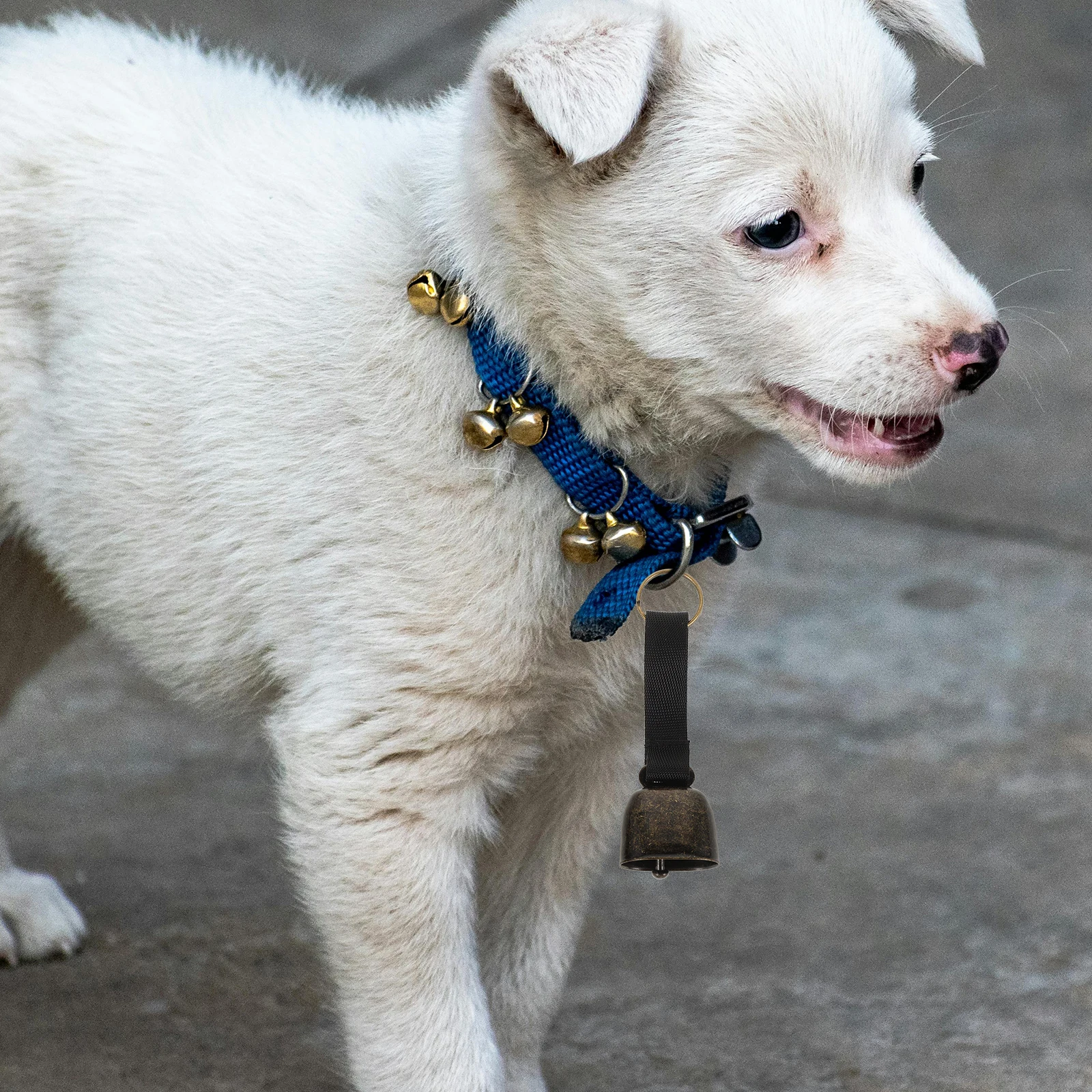 

2Pcs Pet Bells Loud Small Bell for Dog Collar Woven Strap Bear Warning Bell Outdoor Hiking Camping Noise Maker Tracker