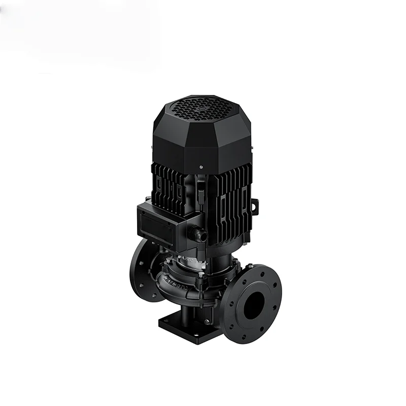 Cast Iron Vertical Pump Cooling Circulation Freezing Water Treatment High Efficiency Cleaning Pump