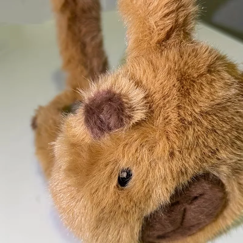 مجموعة واحدة من أغطية أذن كابيبالا اللطيفة، أغطية أذن مخملية سميكة للخريف والشتاء، أغطية أذن دافئة ومقاومة للبرد