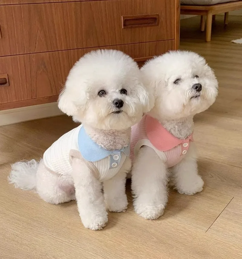 

Puppy Summer Polo Shirt Cute Lapel Dog Clothes Casual Stretch Breathable Teddy Undershirt Small Dogs Two Legs Short Sleeve