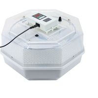 60 Eggs Automatic Egg Incubator Egg Cracking Constant Temperature Incubator Digital Temperature Controller