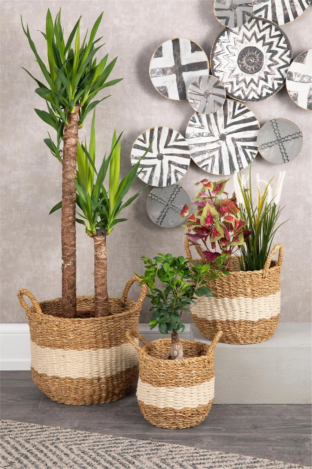 Natural Stripe Straw Basket 3 Size Lux Organizer, Flower Pot Basket, Decorative Basket, Home Decor