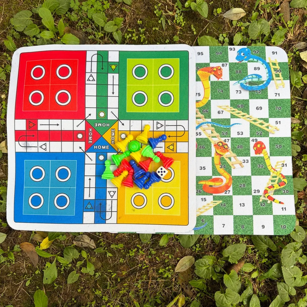 2 IN 1-2pcs Ludo and Snake Ladder Board Game Set Includes 2 Boards(24cm/9.45in), 16 Game Pieces and 1 Die ,Suitable for Parties