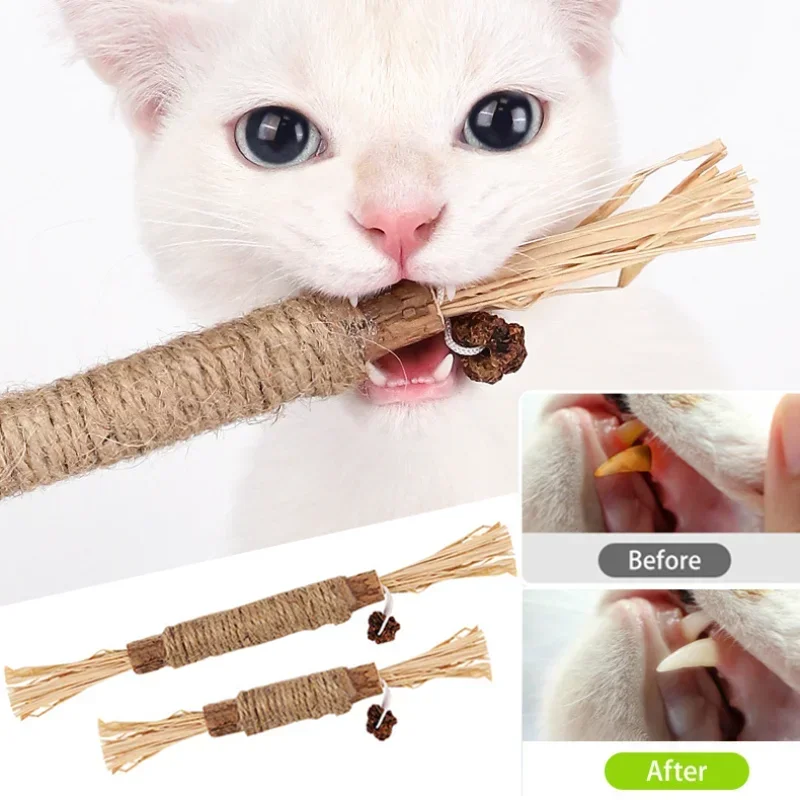 Giocattoli per gatti Silvervine Chew Stick Polygonum Kitty rafia Grass Pet Supplies pulizia dei denti Stick Pet Bite Cat Toy corda di canapa