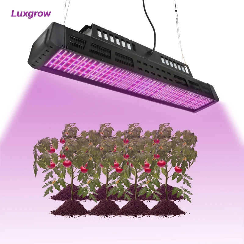 Indoor Plant Lamp For Cucumbers Tomatoes Lettuce Growth Top Lighting Grow Light LED Greenhouse 640w 800w