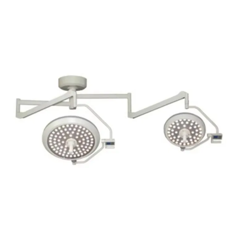 2026 LED700/500 Ceiling and Wall Mounted Veterinary Pet Dog Surgical Shadowless Operation Led Lamp Dental Light for Animal Care