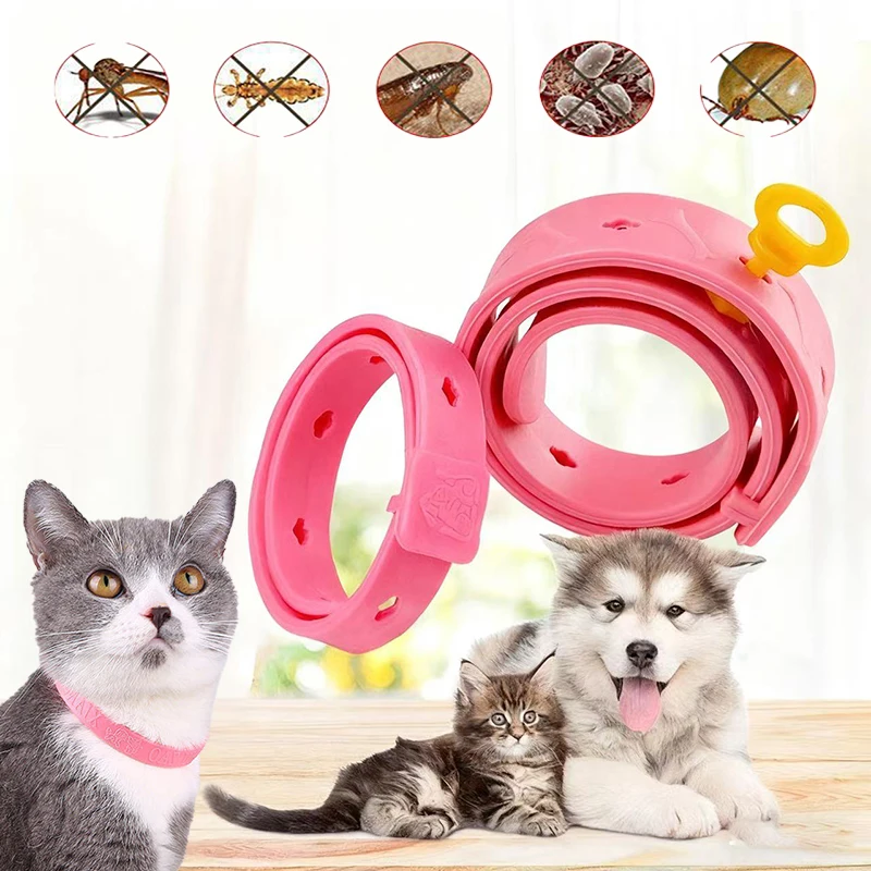 

Pet Dog Cat Collar Anti Flea Mite Lice Insect Repellent Adjustable Safety Collar Suitable for Cats and Dogs Outdoor Protection