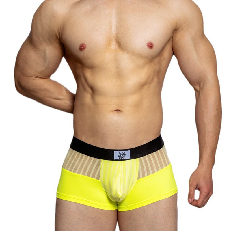 Underpants Man Sexy Boxer Cueca Mesh Breathable Ropa Interior Sexi Para Hombre Quick Dry Men Underwear Gay Boxer Hombre Panties