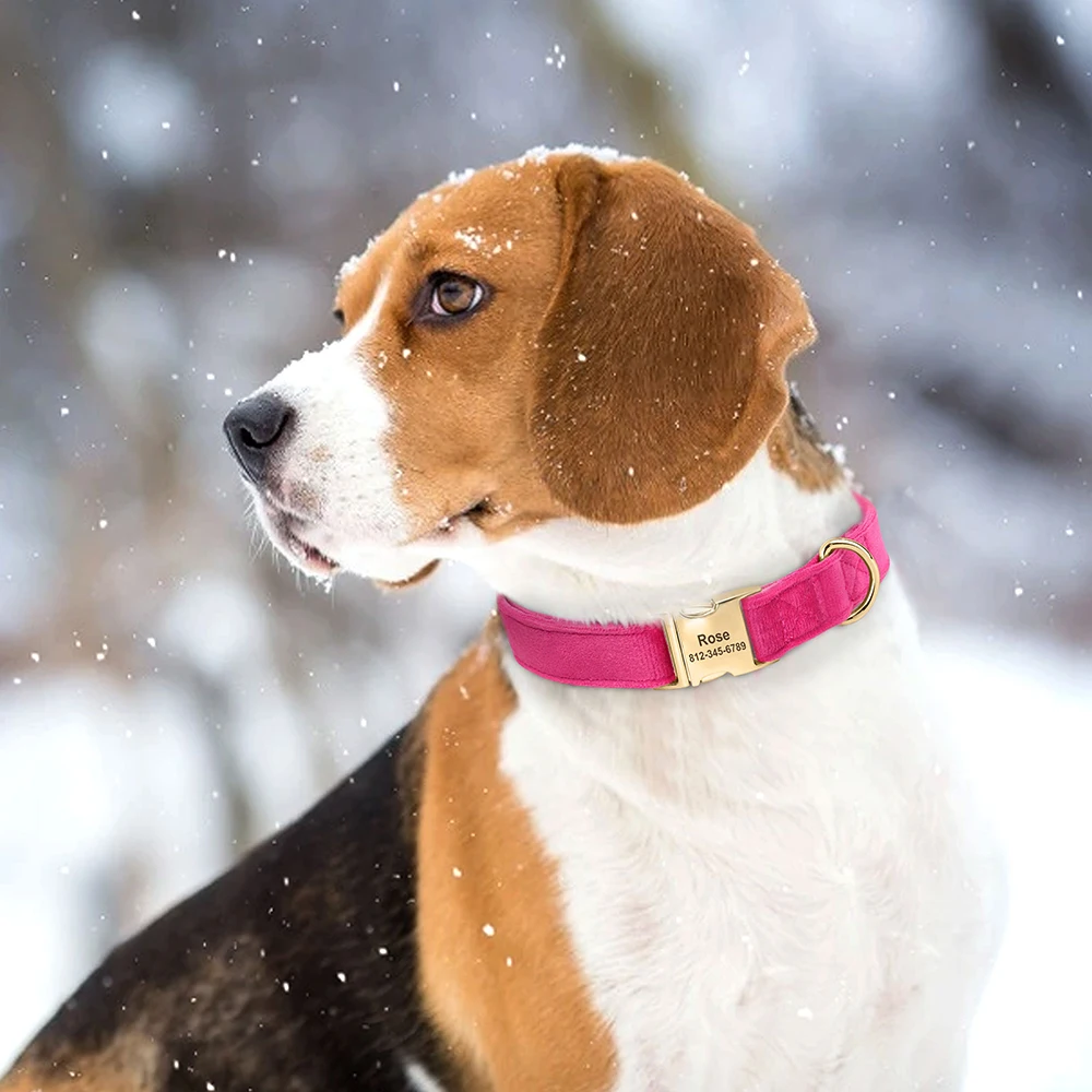 犬の首輪,パーソナライズされた,柔らかいベルベット,ぬいぐるみ,小型犬と大型の子犬用,無料の彫刻,冬