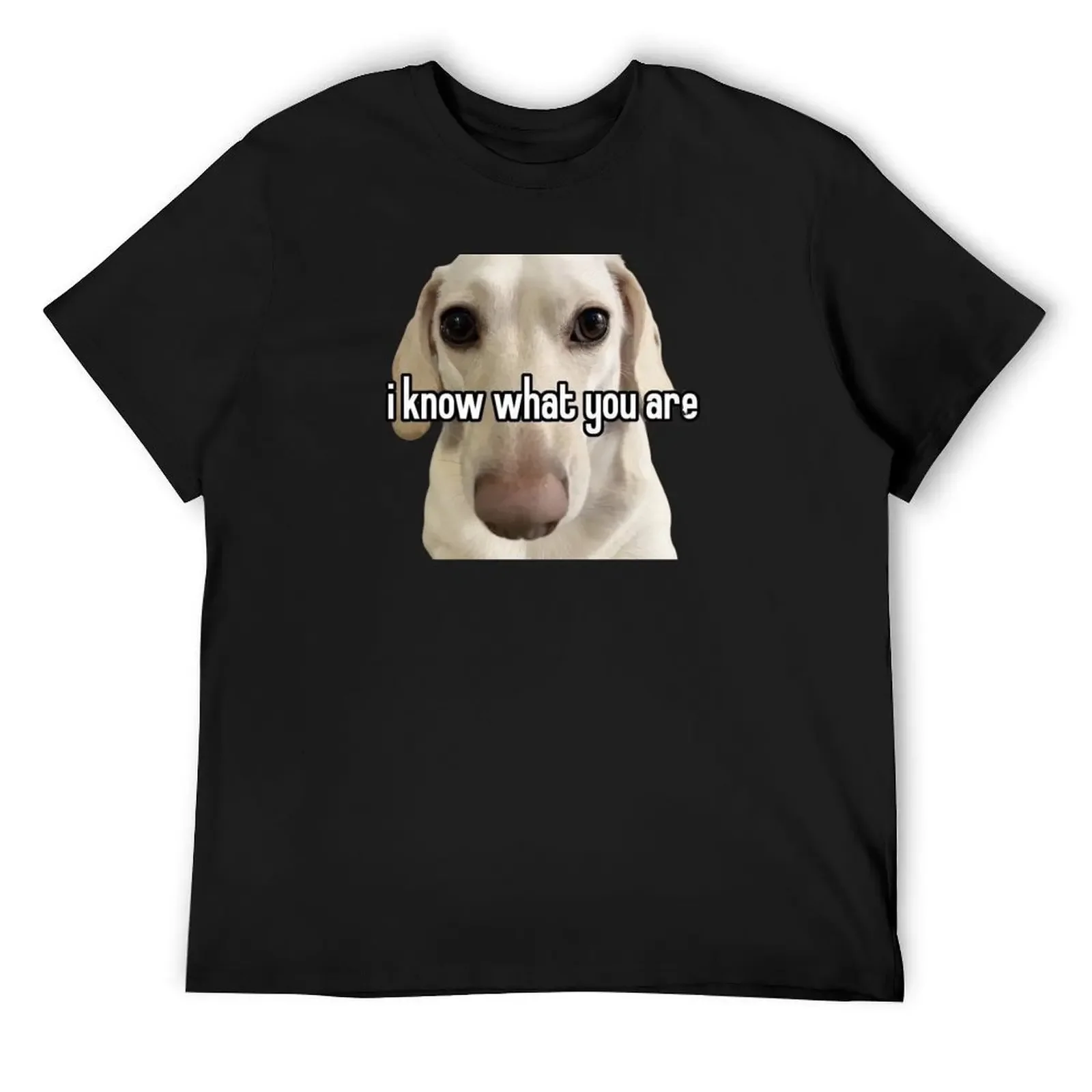 

ally dog T-Shirt anime figures plus sizes plain vintage t shirts mens graphic t-shirts funny